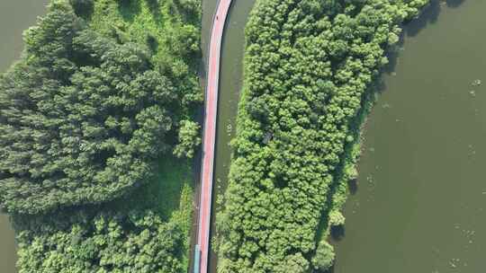 4K高清沈阳城市宣传片沈北蒲河生态廊道