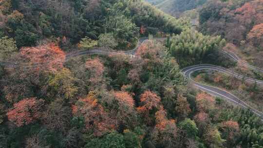 杭州富阳墅溪村林峰山森林秋色航拍