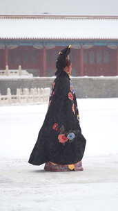 北京故宫雪中古装人像慢镜头竖屏