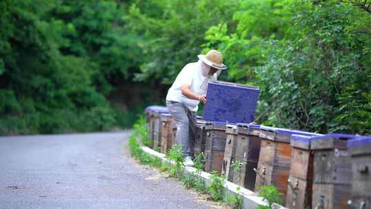蜜蜂 养蜂人 蜂农