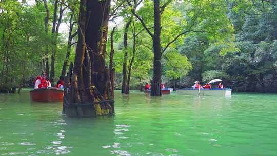 森林河流水上森林贵州旅游风光