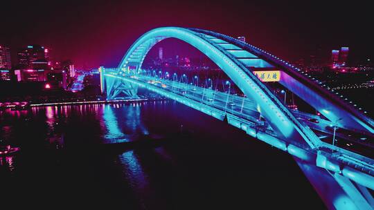 城市桥梁赛博夜景