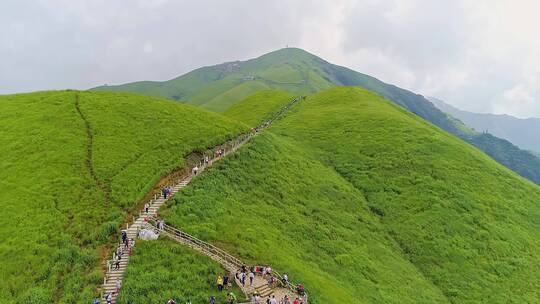 武功山高山草甸