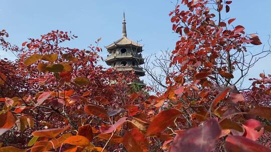 济南红叶谷景区，红叶满山迎来最佳观赏