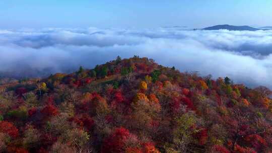 4K秋天五花山吉林东北秋景日出云海云雾逆光