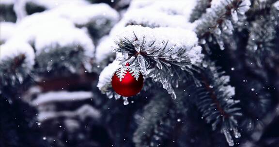 美丽的大自然冬天 高山森林树林雪景特写视频素材模板下载