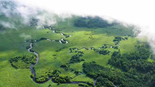 高山湿地哈乌尔河  九曲十八弯河流