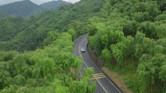 汽车行驶在春季山间树林竹林山区