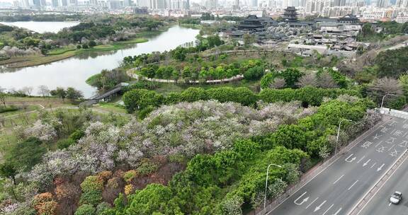 广州海珠湖公园航拍