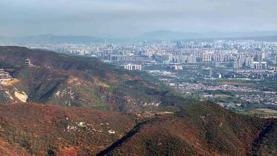 秋日红叶森林航拍满山红叶