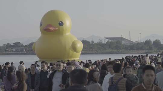 深圳人才公园超大黄鸭RubberDuck参观人群