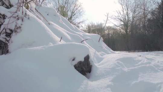 森林里的一堆雪