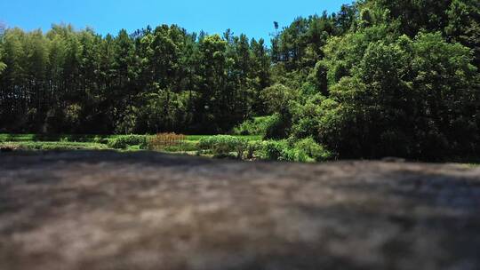 湖南洞庭湖风光带岳阳楼风景区航拍