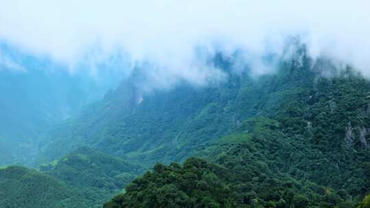 云雾缭绕的青山美景