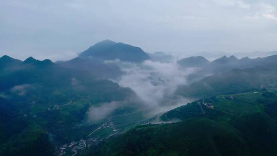 重庆南川区金佛山云海