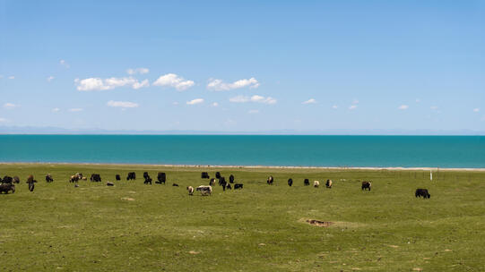 合集-青海湖风光航拍