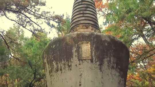 潭柘寺塔林 震寰大师塔