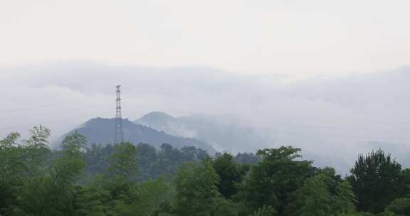 绿色山林森林竹海云海云雾安徽山区远景特写