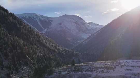 航拍四川甘孜贡嘎山乡上城子村森林雪景