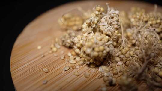 黍子粗粮麦子高粱谷物小米黄米