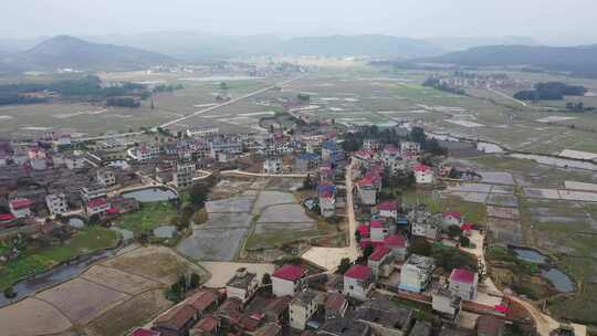 江西金溪：乡村春景美如画