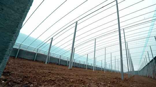 寿光大棚 蔬菜大棚 大棚建设