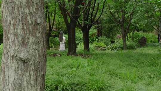 大学生美女看书学习漫步户外公园树林