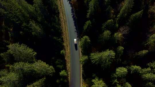 公路运输的卡车树林贯穿森林的道路高速公路