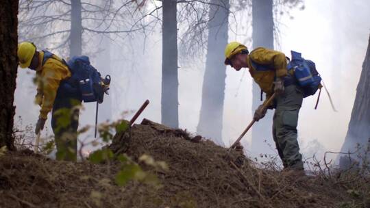 消防员扑灭森林中的野火视频素材模板下载