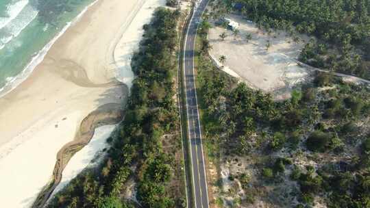 海边沿海公路椰林