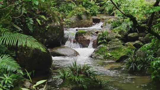 山涧自然小溪流水山泉水