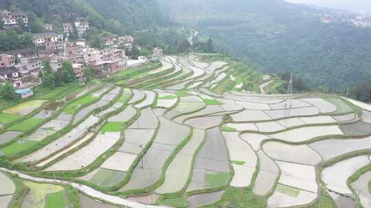 航拍贵州花溪高坡乡石门梯田-原视频