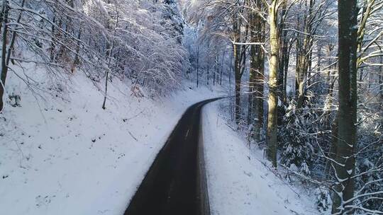 积雪覆盖的森林中的小路视频素材模板下载