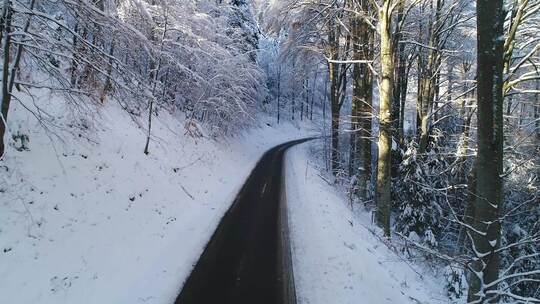 积雪覆盖的森林中的小路