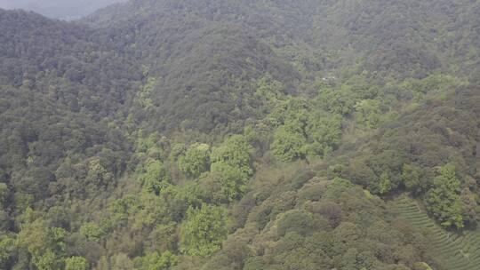 绿水青山