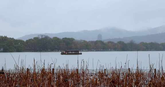 杭州西湖冬季雨天雨滴