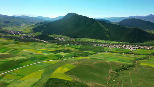 美丽乡村、宜居的生态环境、天然氧吧