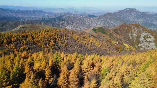 秋天山景 秋景 秋色 秋游