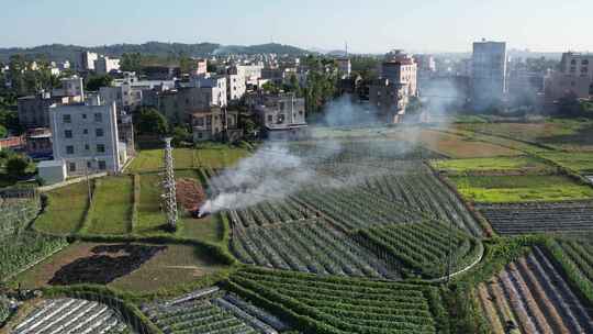 农村农田焚烧秸秆航拍