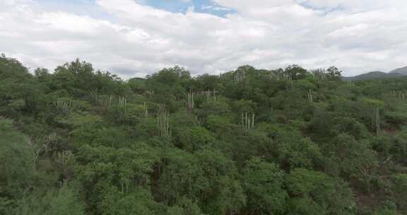 墨西哥特华坎生物圈保护区，国家保护区，生