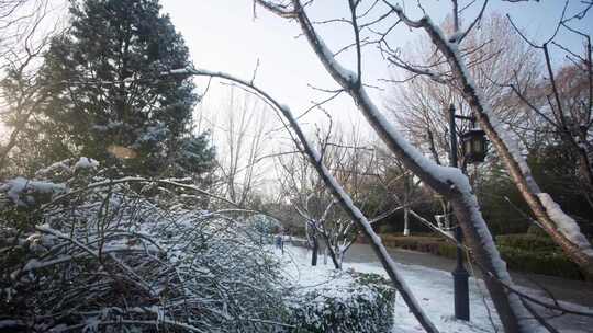 雪景