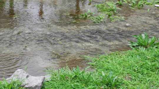 清澈河水河流水源水流溪流溪水