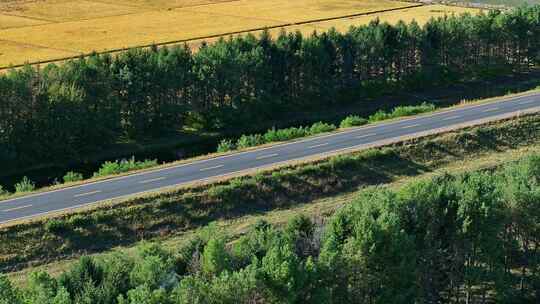 穿过树林与农田的公路航拍