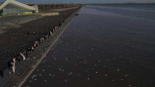 航拍 海边 倒影 地平线 水波 海面 日出