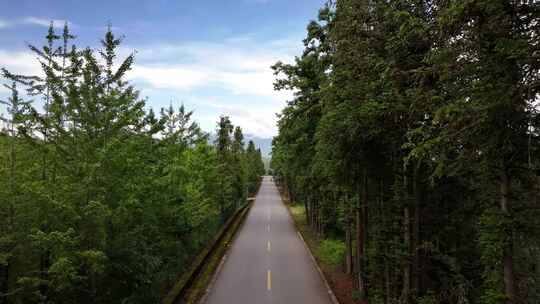 行驶在腾冲火山群的景观大道上