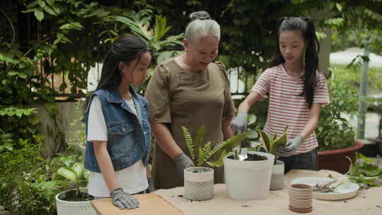 老年妇女和她的孙女在后院园艺