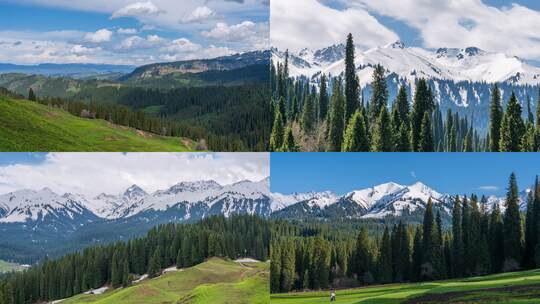 新疆伊犁库尔德宁景区雪岭云杉森林雪山延时高清在线视频素材下载