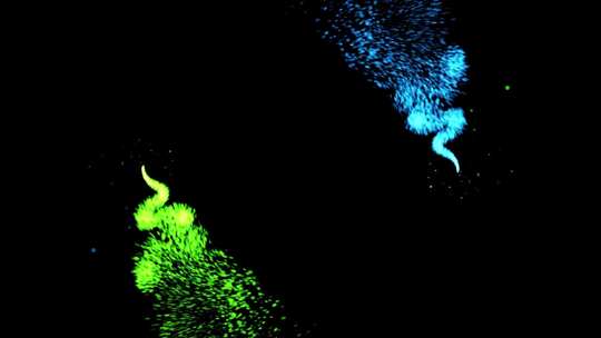 3D抽象数字技术在黑色背景上动画蓝绿光粒