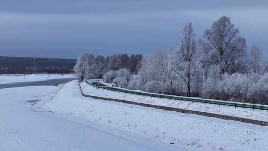 雪柳冰雪世界雾凇241104 (27)