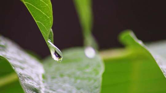 下雨 下雨天素材